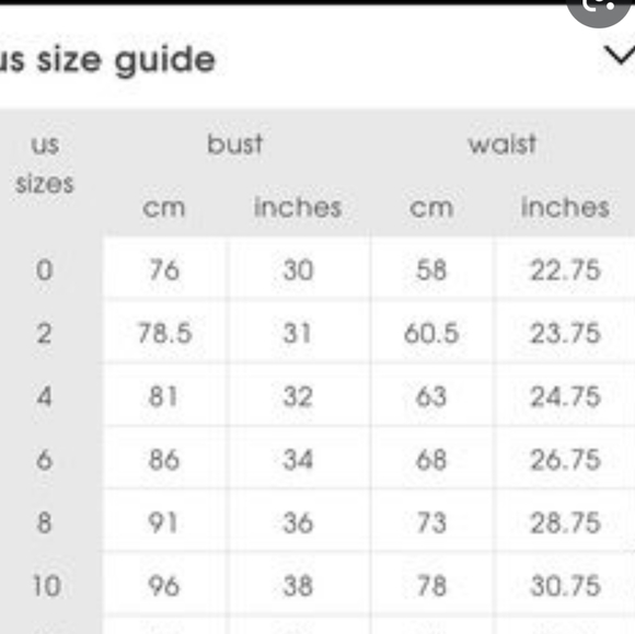 NWOT Missguided sheer dress velvet Paisley design - Picture 5 of 5